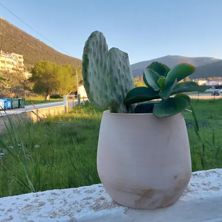 Vιtamin Sea Apartment 8, Απολαυστική Διαμονή Στον Αλμυροπόταμο! Almiropotamos Exterior photo