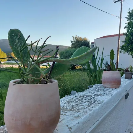 Vιtamin Sea Apartment 8, Απολαυστική Διαμονή Στον Αλμυροπόταμο! Almiropotamos Exterior photo