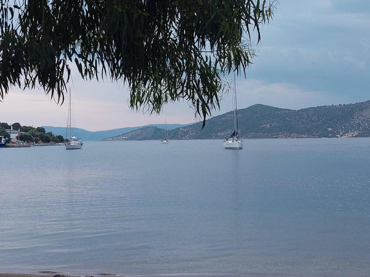 Vιtamin Sea 8, απολαυστική διαμονή στον αλμυροπόταμο! * Almiropotamos