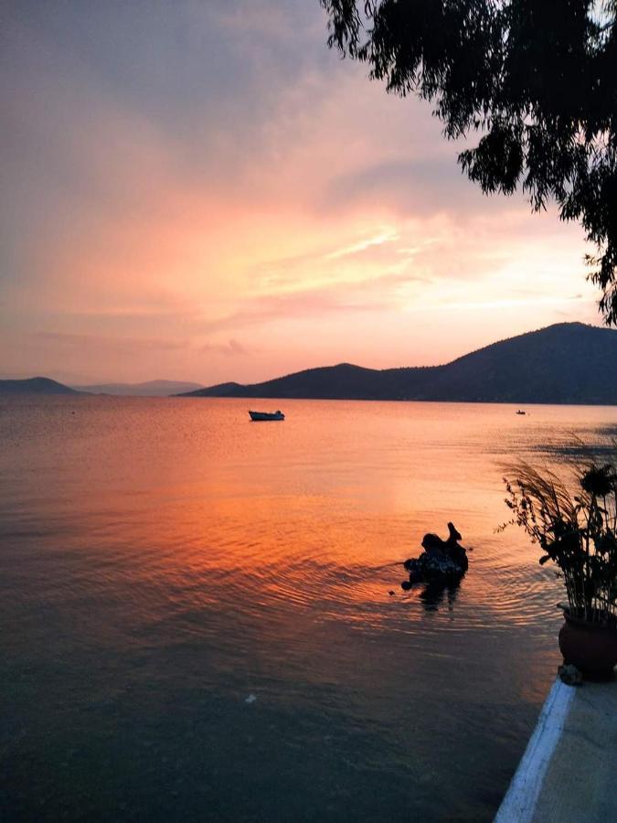 Vιtamin Sea 8, απολαυστική διαμονή στον αλμυροπόταμο! Apartment