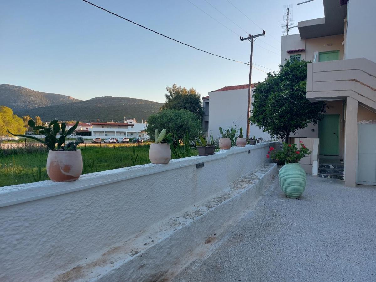 Apartment Vιtamin Sea 8, απολαυστική διαμονή στον αλμυροπόταμο!